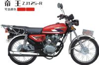 ZJ125-R